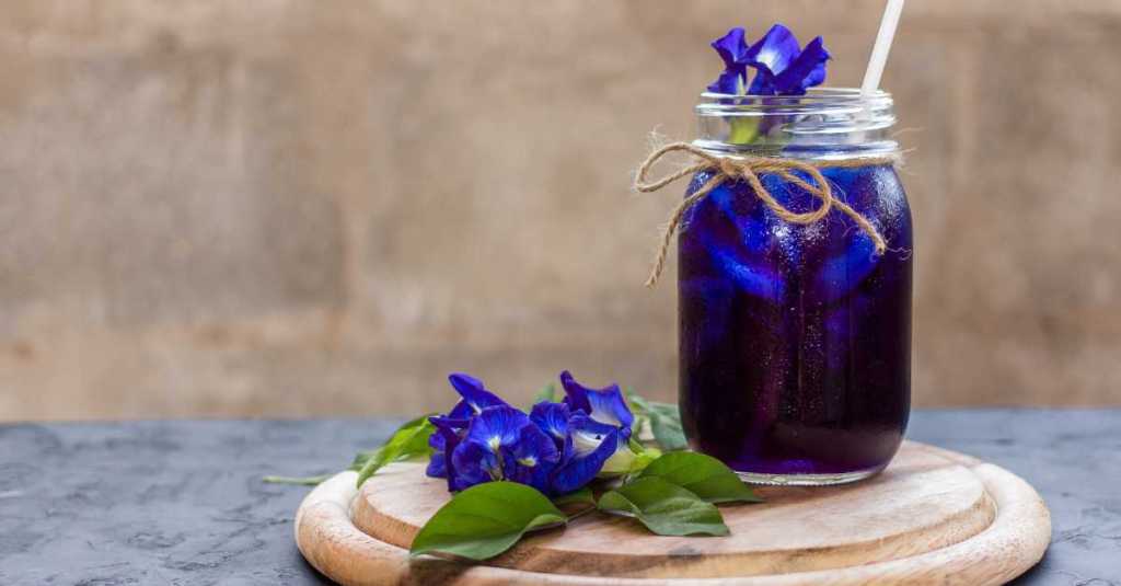 A mason jar filled with butterfly pea flower iced tea, decorated with fresh flowers.