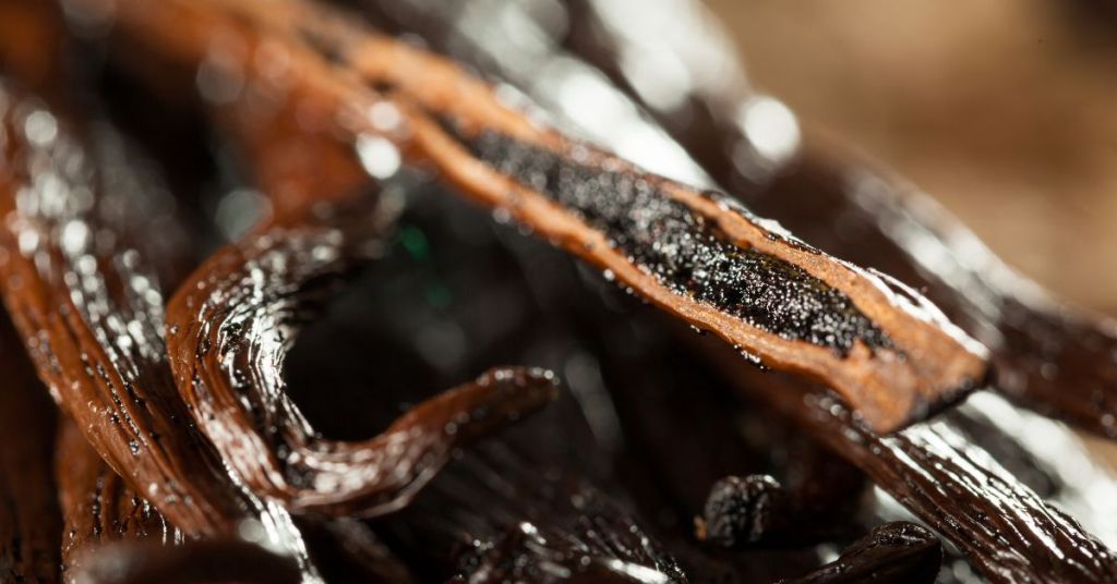 Close-up of split vanilla beans and seeds. Close-up of moist, split vanilla beans with visible black seeds, essential for homemade extract.