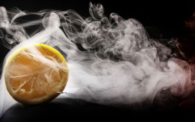 Smoking Gun: Easy Food Smoking Techniques for Beginners